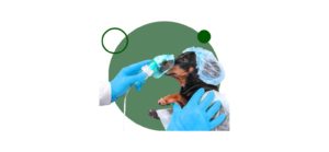 Descubre las ventajas de estudiar la formación en Quirófano veterinario