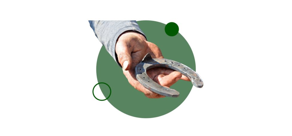 Estudia ahora el curso de herrador de caballos y podólogo equino