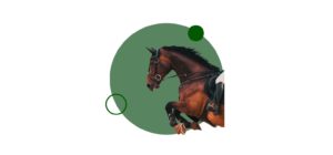 Descubre las facilidades de estudiar el Curso monitor de equitación