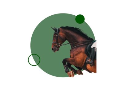 Descubre las facilidades de estudiar el Curso monitor de equitación