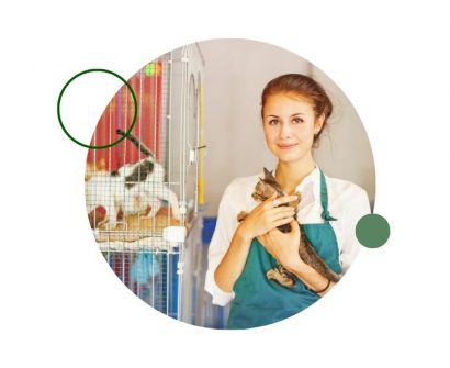 Profesional realizando cuidado y manejo responsable de animales en un entorno controlado y orientado al bienestar animal.